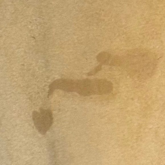 COACH Rae Tote - Picture 4 of 4